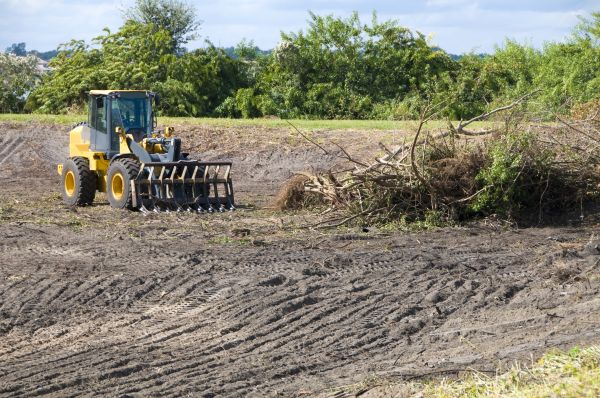 New Braunfels Land Clearing