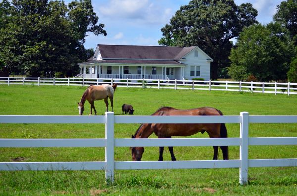 New Braunfels Fence Service