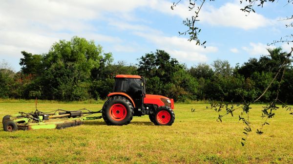 New Braunfels Bush Hogging